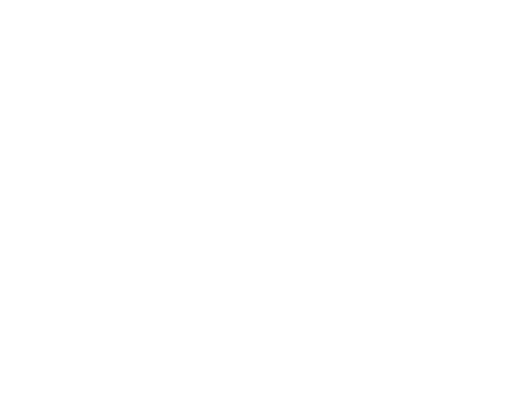 Mint Cleaning Logo